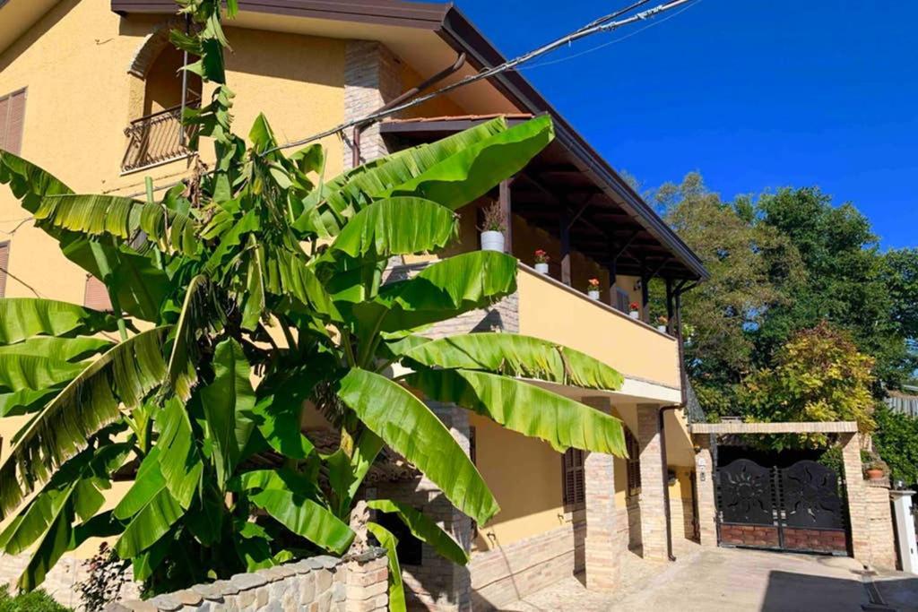 Flowery House Miglianico Esterno foto