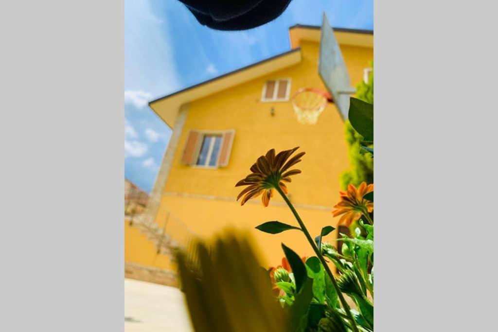 Flowery House Miglianico Esterno foto